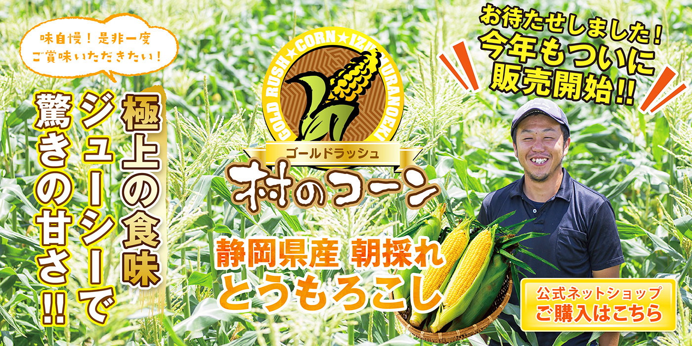 静岡県産朝採れとうもろこし 村のコーン