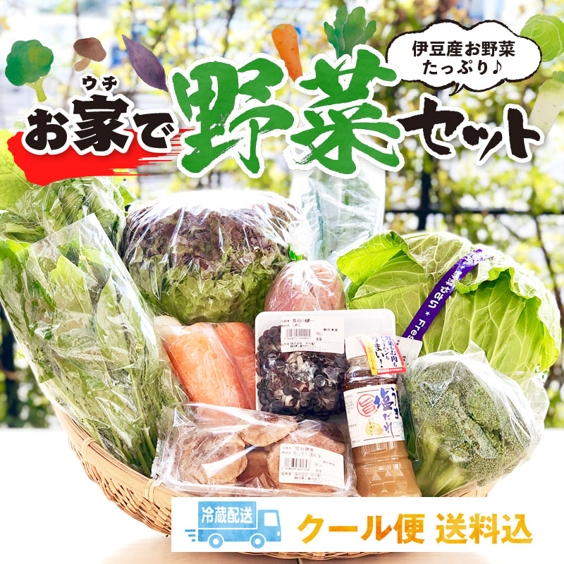お家で野菜セット